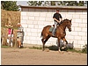 P8302036.JPG