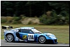 DSC_2981.JPG
