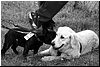 DSC_1880a.jpg