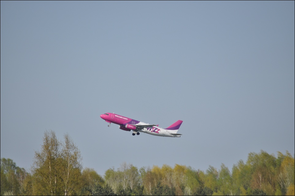 DSC_0536.JPG