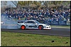 DSC_0411.JPG