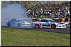 DSC_0420.JPG