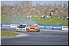 DSC_0550.JPG