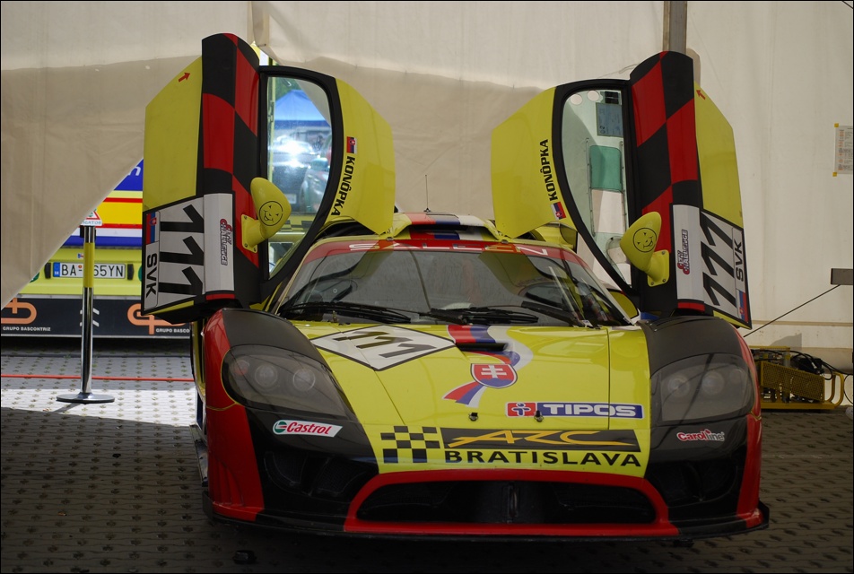 DSC_7367.JPG
