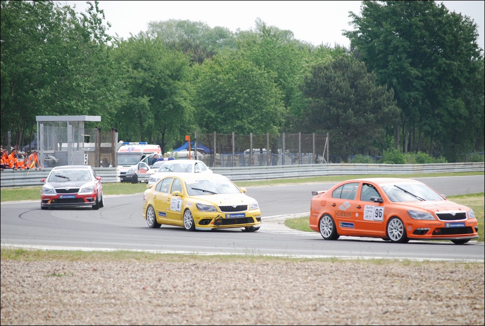 DSC_7794.JPG