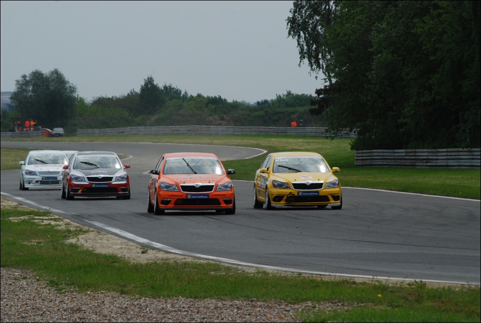 DSC_7815.JPG