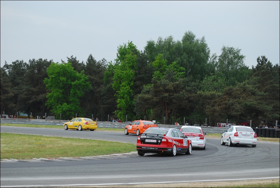 DSC_7844.JPG
