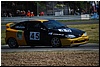 DSC_7088.JPG