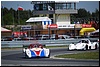 DSC_7184.JPG