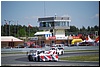 DSC_7195.JPG