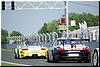 DSC_7463.JPG
