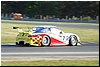 DSC_7591.JPG