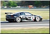 DSC_7594.JPG