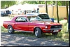 DSC_0118.JPG