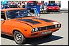 DSC_0172.JPG