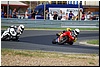 DSC_3170.JPG
