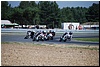 DSC_3551.JPG