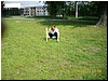 Lato 2010 017m.JPG