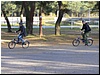 tn_P1200108.JPG