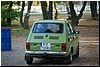 DSC_7982.JPG