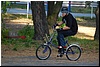 DSC_8003.JPG