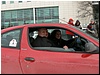 tn_P1210102.JPG