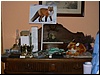 tn_P1210160.JPG