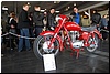DSC_2823.JPG