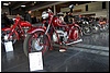 DSC_2825.JPG