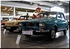 DSC_2955.JPG
