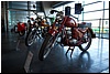 DSC_3156.JPG