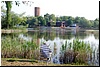 tn_DSC_6238.JPG