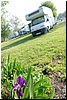 tn_DSC_6242.JPG