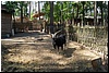 ZDSC01293m.JPG