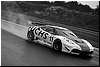 DSC_7324.JPG