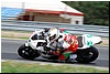 DSC_7923.JPG