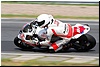 DSC_7950.JPG