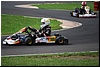 DSC_8223.JPG