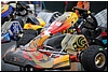 DSC_8313.JPG