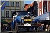 DSC_8955.JPG