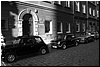 DSC_9127.JPG