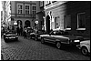 DSC_9132a.jpg