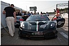 IMG_7986.jpg
