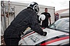 IMG_8385.jpg
