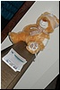 DSC00826.jpg