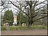 tn_P1240254.JPG