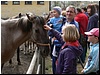 tn_P1240264.JPG