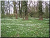 100_5947.JPG