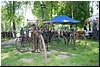 tn_DSC_3814.JPG