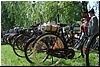 tn_DSC_3833.JPG